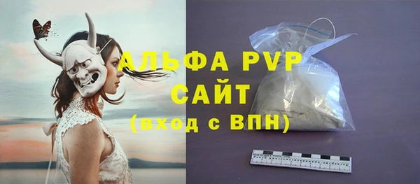 экстази Бородино
