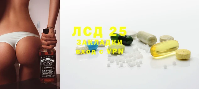 экстази Бородино