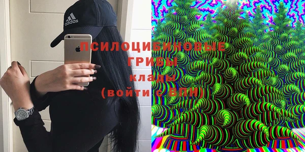 экстази Бородино