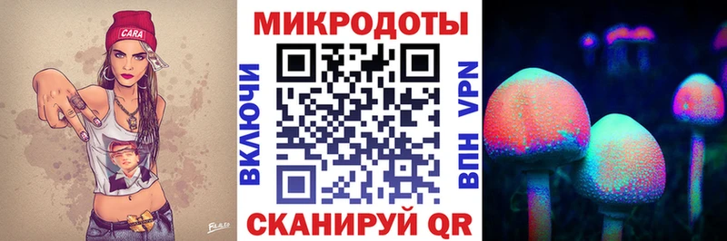 kraken ТОР  Новоульяновск  Псилоцибиновые грибы ЛСД 